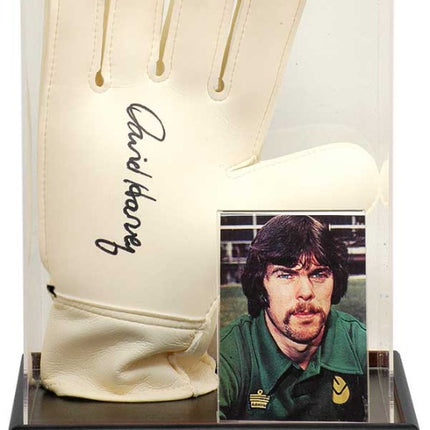 David Harvey Leeds Legend Hand Signed Goalkeepers Glove Display
