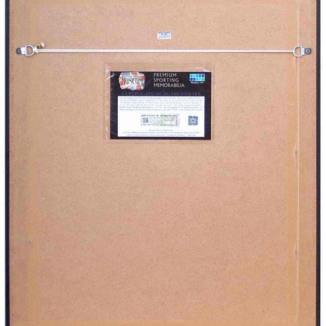 Troy Deeney Signed Watford 2013 Play-Off Goal Montage 23x19" Framed