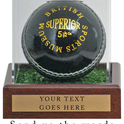 Cricket Ball Display Case 10x10x10cm with Custom Plaque with words of your choice**