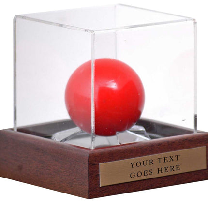 Snooker Display Case 10x10x10cm with Custom Plaque with words of your choice**