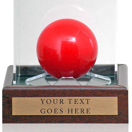 Snooker Display Case 10x10x10cm with Custom Plaque with words of your choice**